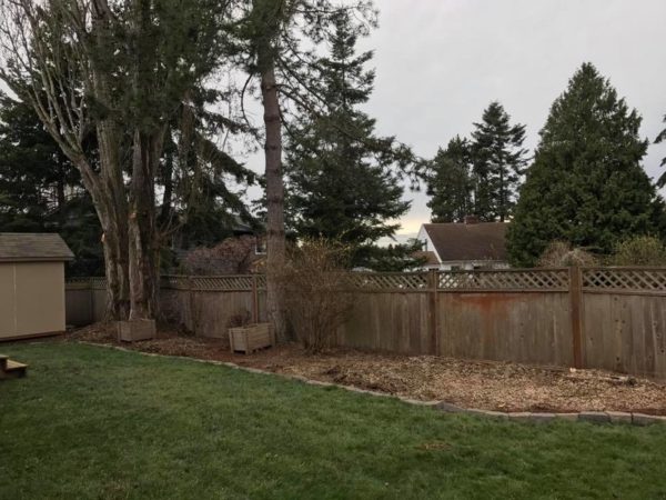 This shows the space that used to contain three large poplar trees. See the before pictures of how big they were! You can't even see where they were now, totally clean! Infinity Tree Services tries to leave the area cleaner than we found it!