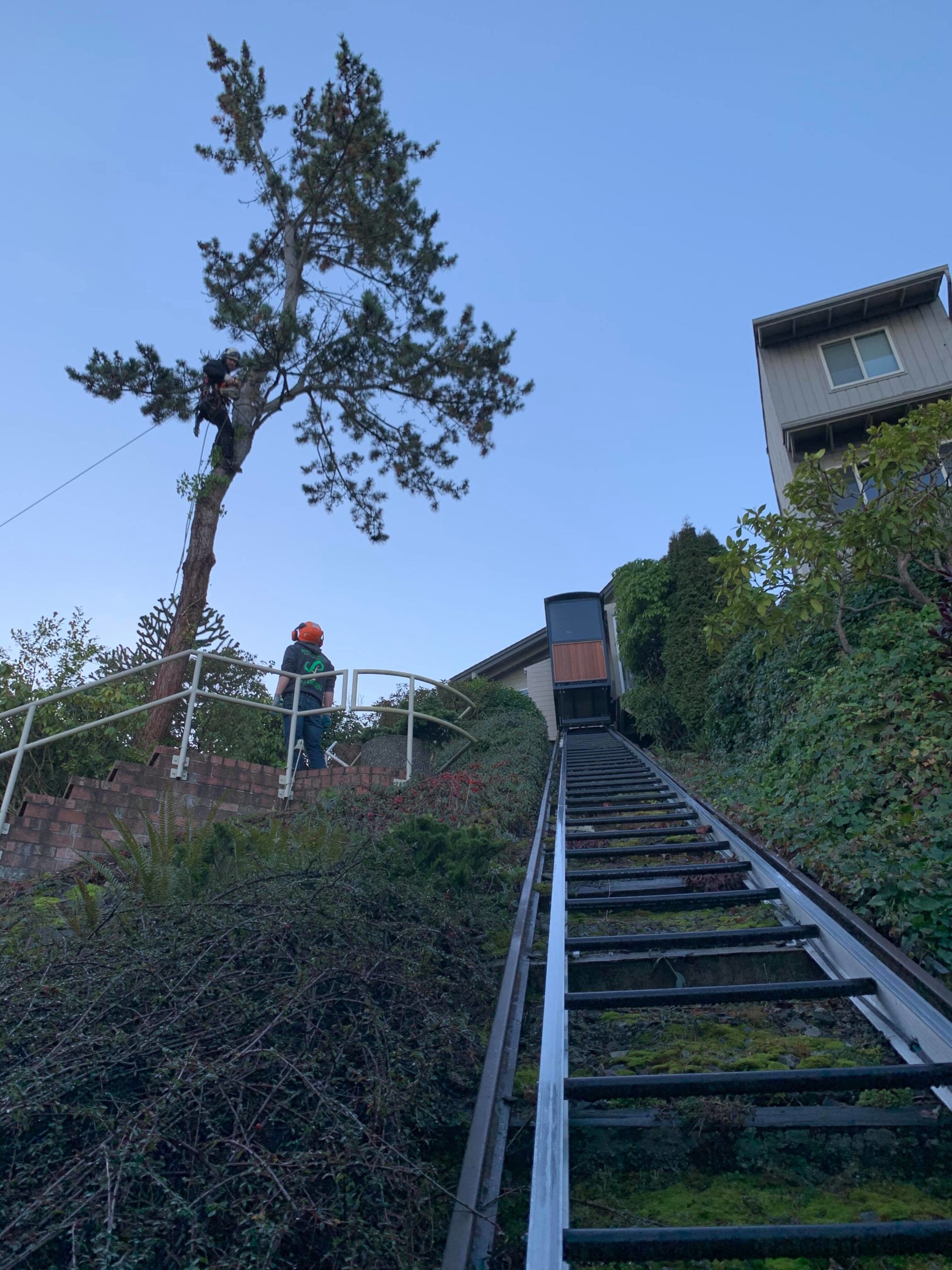 Before the Removal of a dying Evergreen Tree, this custom lakefront trolley track is NOT SAFE at the sound!