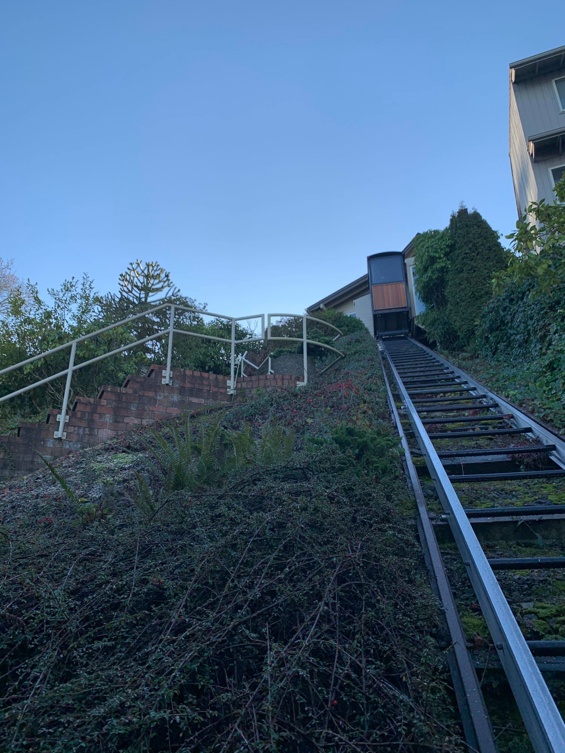 After Removal of a dying Pine Tree, this custom lakefront trolley track is SAFE at the sound!
