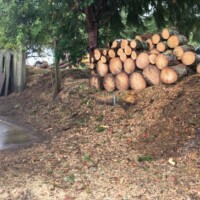 This is a clean and finished removal with firewood left to heat the owner!