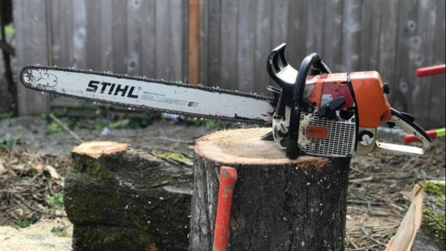 Chainsaw on a stump. Tree Removal means Stump removal, and we do it all, Stump grinding, Wood Chipping, Cleanup included. Our wood chipper can handle it all, here you see us cleaning up after a large tree removal.