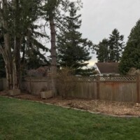 This shows the space that used to contain three large poplar trees. See the before pictures of how big they were! You can't even see where they were now, totally clean! Infinity Tree Services tries to leave the area cleaner than we found it! This shows the space that used to contain three large poplar trees. See the before pictures of how big they were! You can't even see where they were now, totally clean! Infinity Tree Services tries to leave the area cleaner than we found it!