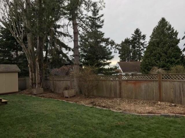 This shows the space that used to contain three large poplar trees. See the before pictures of how big they were! You can't even see where they were now, totally clean! Infinity Tree Services tries to leave the area cleaner than we found it! This shows the space that used to contain three large poplar trees. See the before pictures of how big they were! You can't even see where they were now, totally clean! Infinity Tree Services tries to leave the area cleaner than we found it!