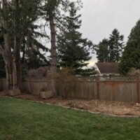 This shows the space that used to contain three large poplar trees. See the before pictures of how big they were! You can't even see where they were now, totally clean! Infinity Tree Services tries to leave the area cleaner than we found it! This shows the space that used to contain three large poplar trees. See the before pictures of how big they were! You can't even see where they were now, totally clean! Infinity Tree Services tries to leave the area cleaner than we found it!